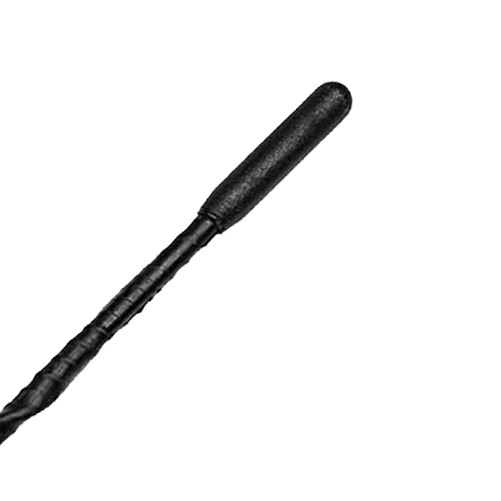 11in Universal Flexible Anti-Noise Beesting Ariel Antenna Suitable For Car Radio