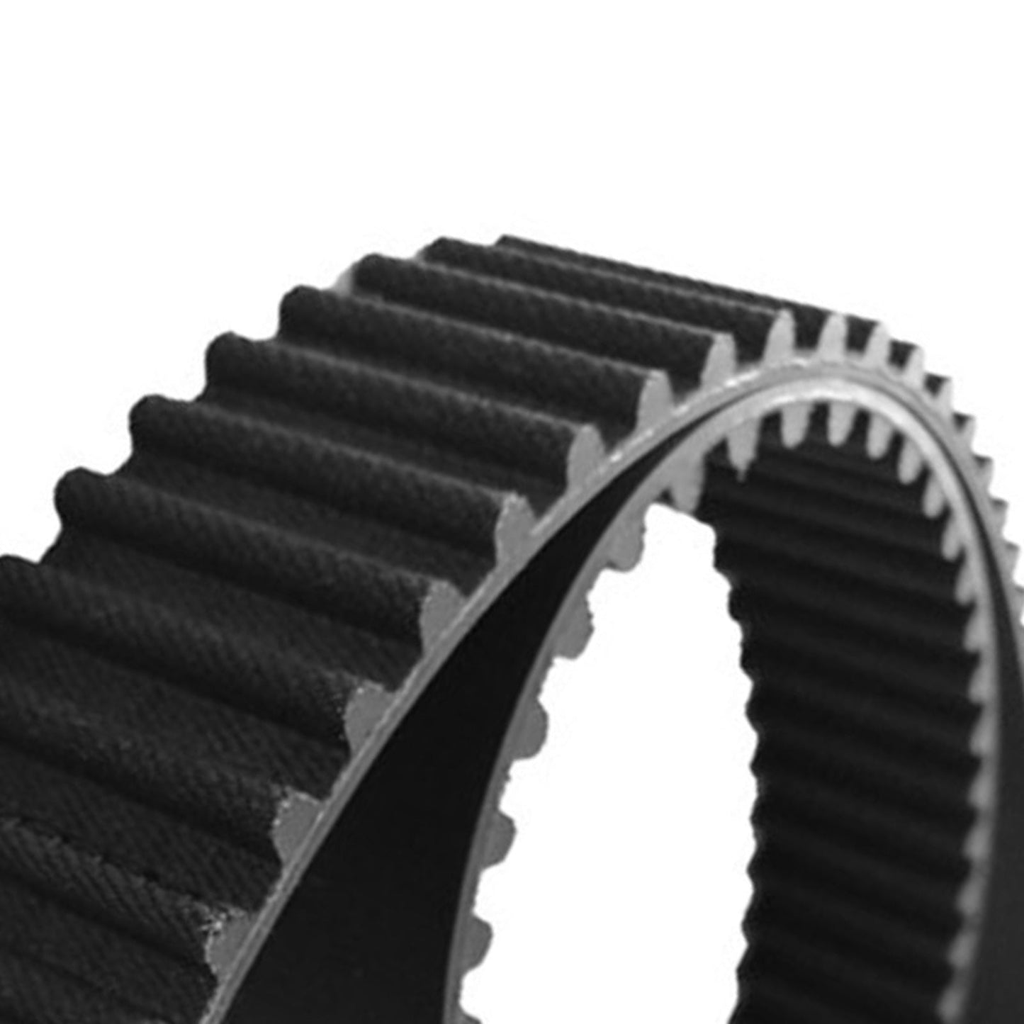 Timing Belt T1601 Suitable For Ford Ranger PJ PK 2.5L 3.0L WLAT WEAT