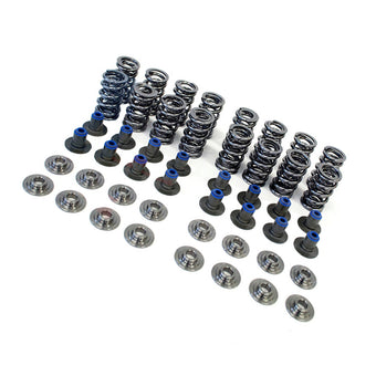 compare product .660 Lift Dual Valve Spring Kit Suitable for LS1 LS2 LS3 LS4 LS6 LQ4 LQ9 Engines