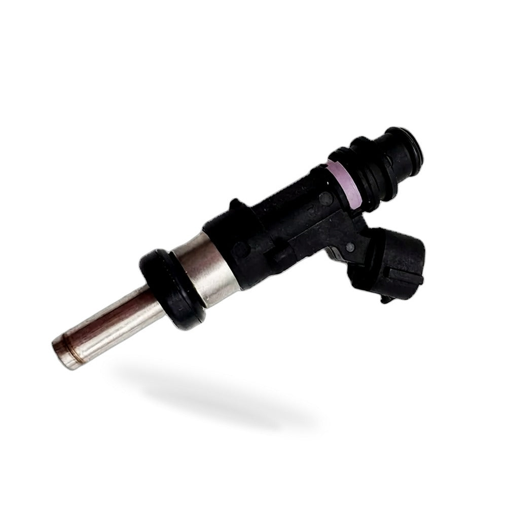 Fuel Injector Suitable for Suzuki Alto Wagon R Celerio Splash 15710-89L00 JY1912 - BD3