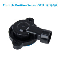 Idle Air Valve & Throttle Position Sensor TPS Suitable For Holden Commodore Caprice 5.7L