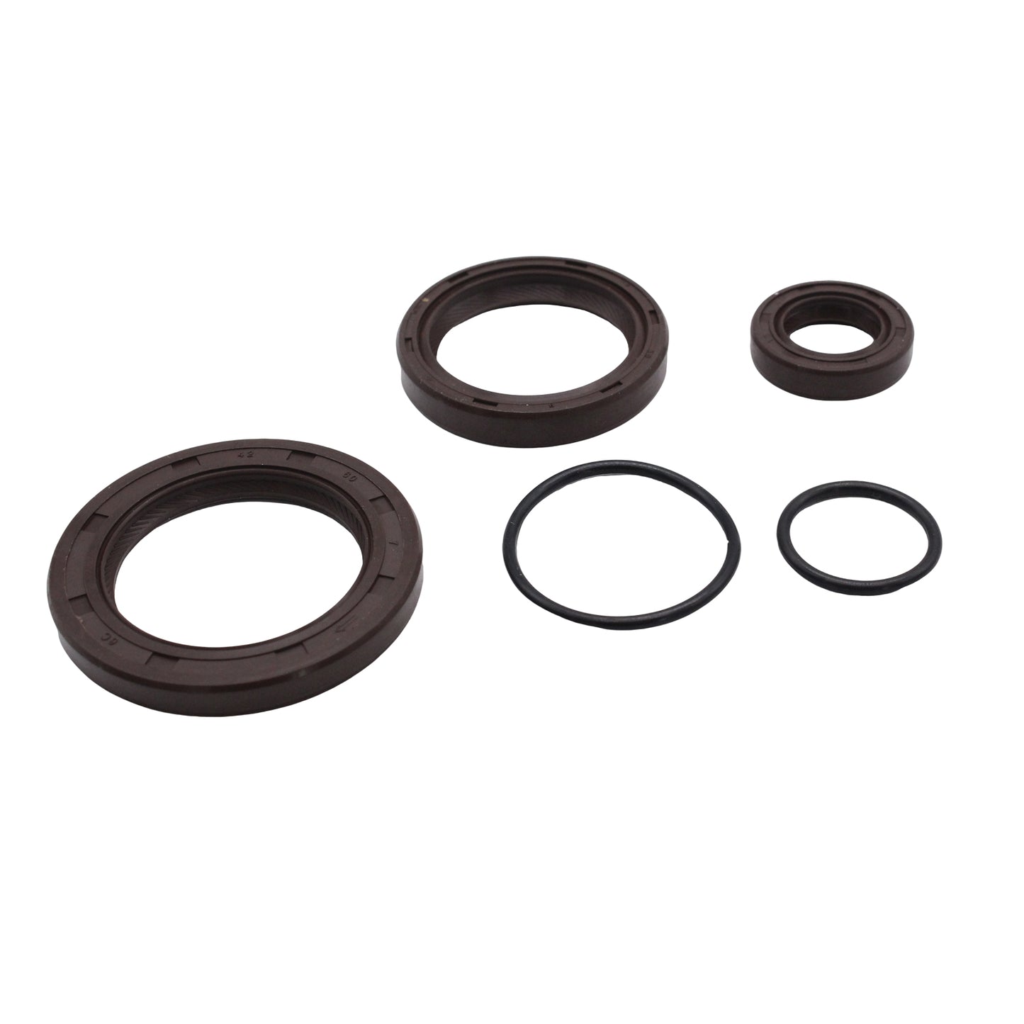 Timing Belt Water Pump kit Suitable for Holden Apollo Toyota Rav4 Celica Camry