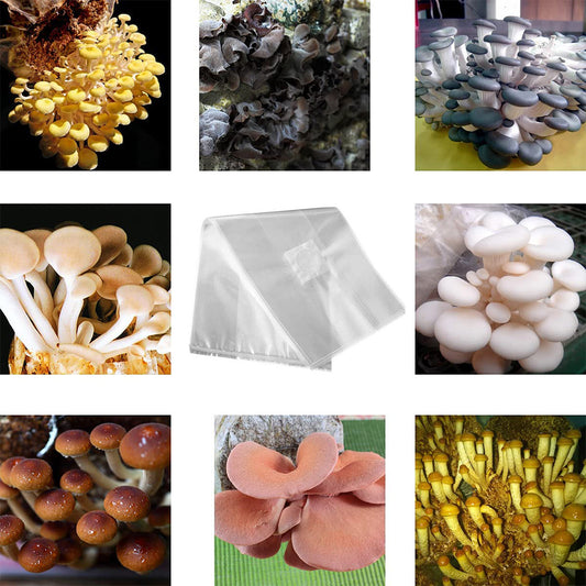 Mushroom Growing Bags 50x Breathable Autoclavable Stand-Up Tear-Resistant Strong