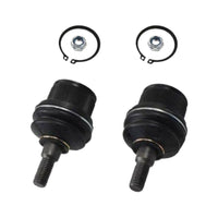 2x Lower Ball Joint Suitable For Ford Ranger Fighter 4WD CB-1542 UH74-34-550