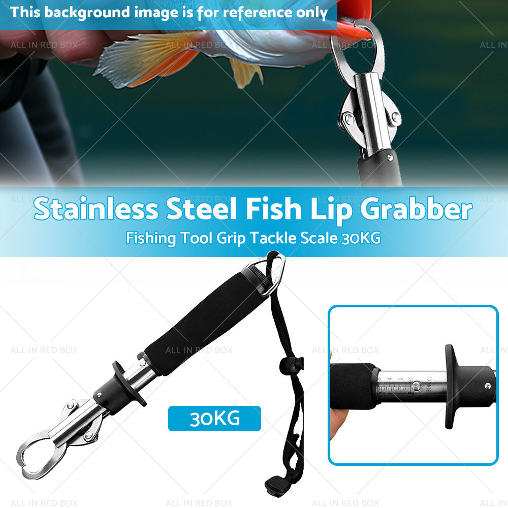 {{ Stainless Steel Fish Lip Grabber Gripper Fishing Tool Grip Tackle Scale 30KG }} - Buy Car Parts Online at {{ Kaka Auto Parts }}.