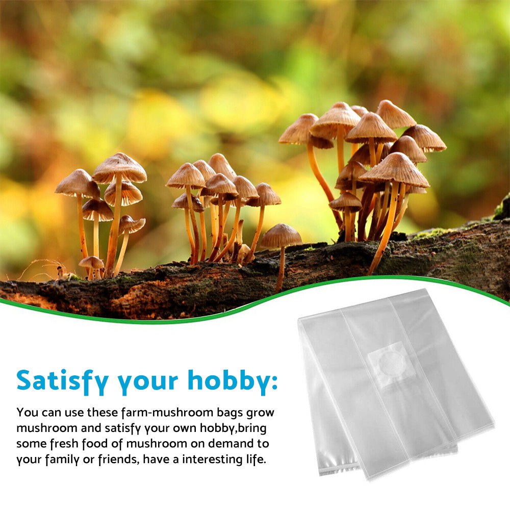 {{ 50X Mushroom Growing Bag Breathable Autoclavable Stand Up Tear Resistant Strong }} - Buy Car Parts Online at {{ Kaka Auto Parts }}.