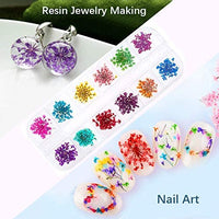 {{ 24 x 20ml Colors Glitter Pigment Debris Resin Epoxy Dream Flash Powder Crafts }} - Buy Car Parts Online at {{ Kaka Auto Parts }}.