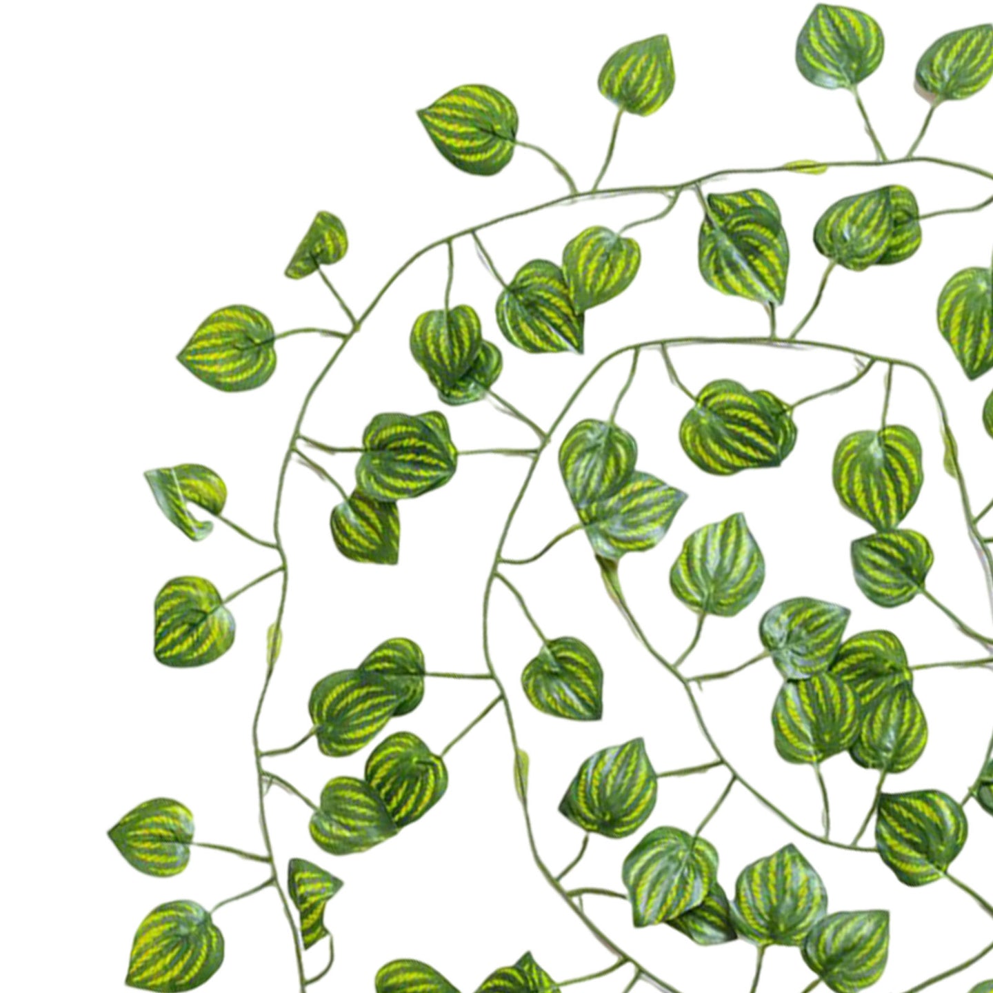 {{ 12x2M Green Plastic Leaf Foliage Artificial Ivy Suitable For Decorating Homes 12x2M Green Plastic Leaves }} - Buy Car Parts Online at {{ Kaka Auto Parts }}.