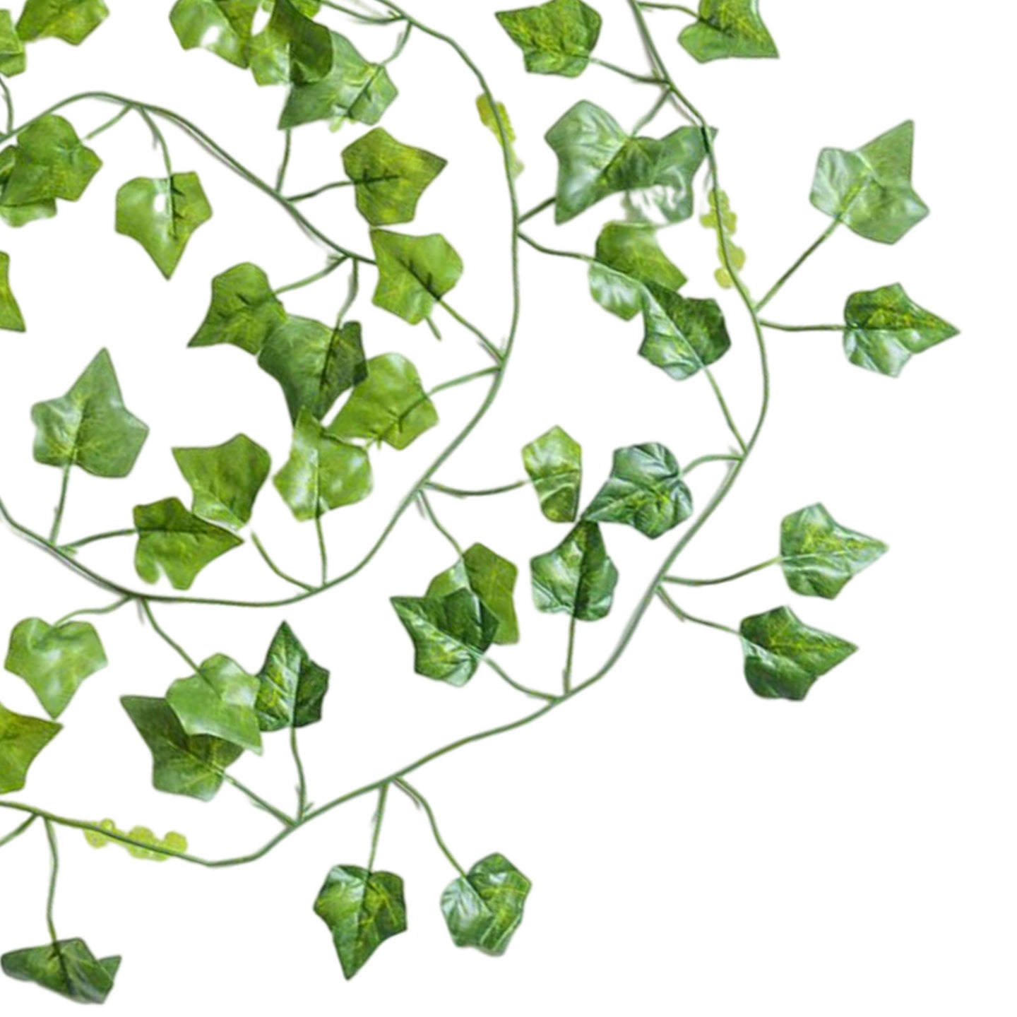 {{ 12x2M Green Plastic Leaf Foliage Artificial Ivy Suitable For Decorating Homes 12x2M Green Plastic Leaves }} - Buy Car Parts Online at {{ Kaka Auto Parts }}.