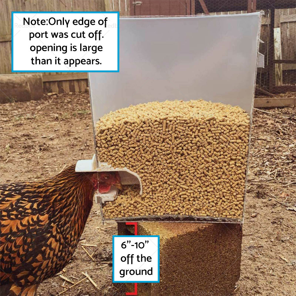 {{ Chicken Feeder Poultry Pro Feeder DIY Port PVC Gravity Fed Chicke Feeder }} - Buy Car Parts Online at {{ Kaka Auto Parts }}.