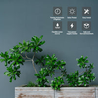 Smart Drip Self-Watering Irrigation Timer Kit 10M Solar-Powered Automatic Plant Watering System